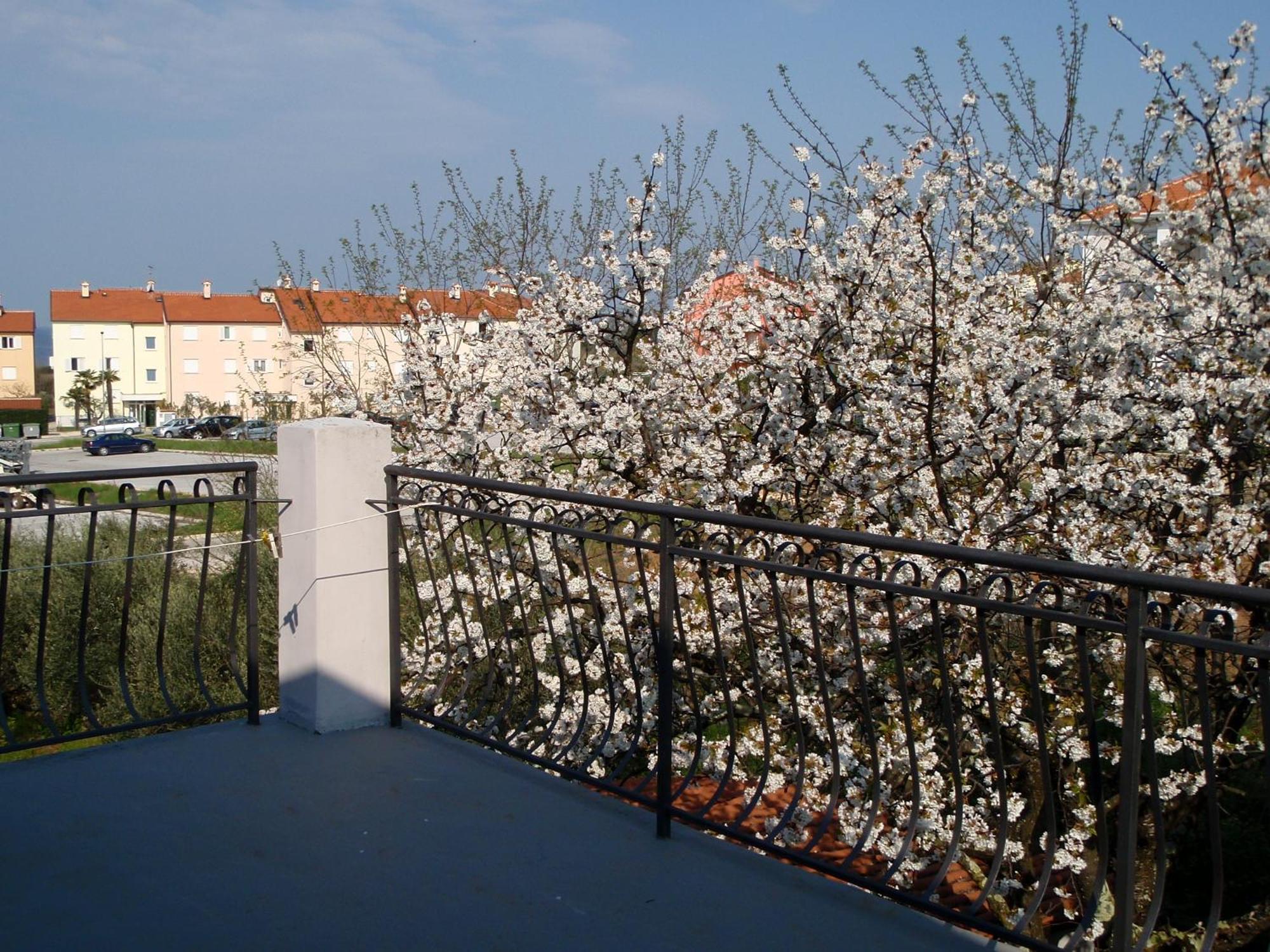 Apartments Miri Zambratija Kültér fotó